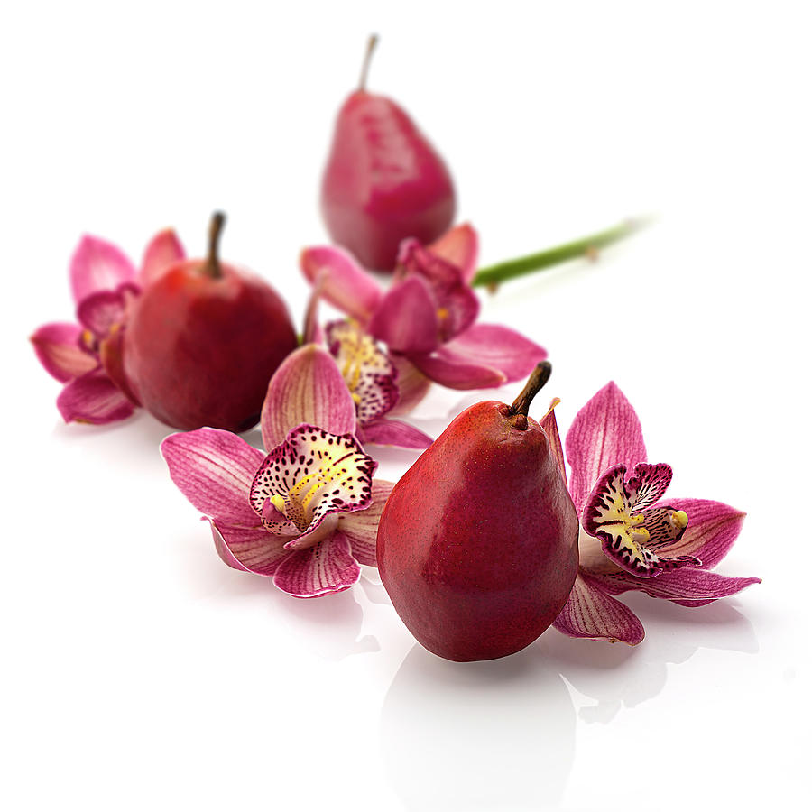 Red Pears and Cymbidium Orchids Photograph by Lily Malor
