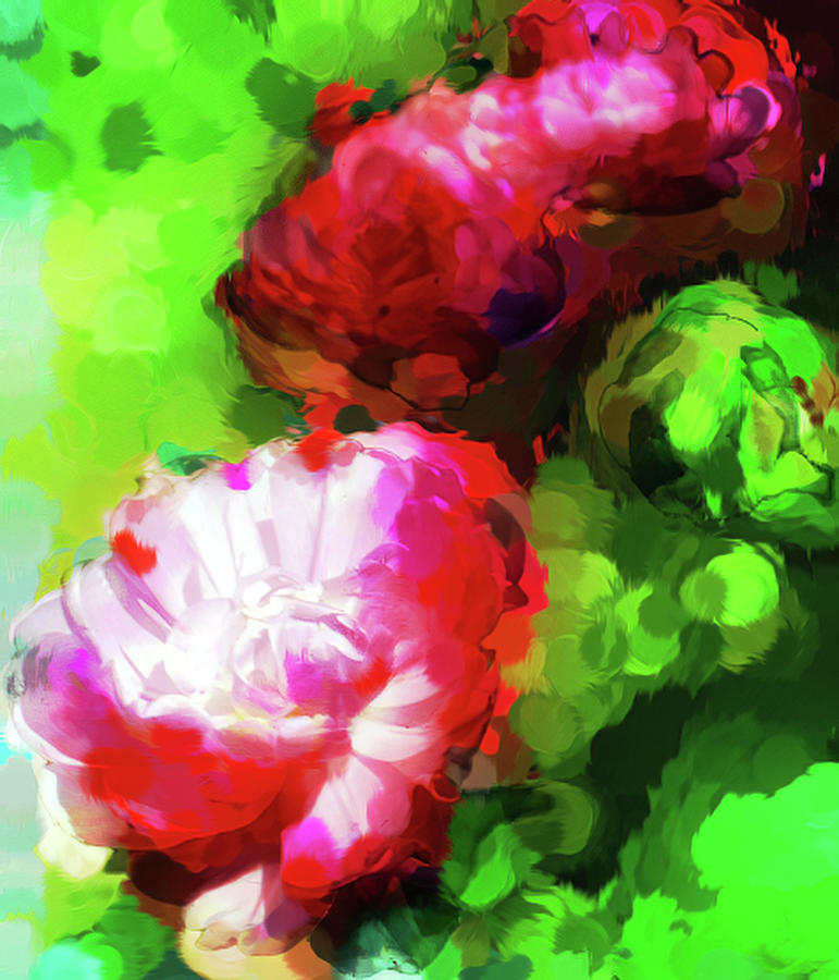 Red Peony abstract Digital Art by Cathy Anderson