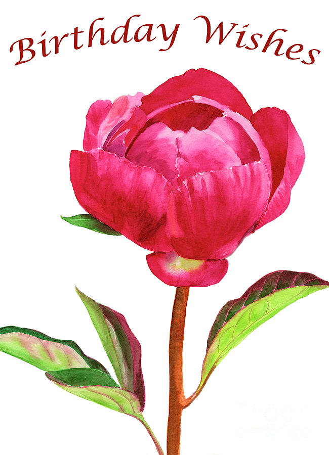 Red Peony with Leaves Birthday Card 1 Painting by Sharon Freeman