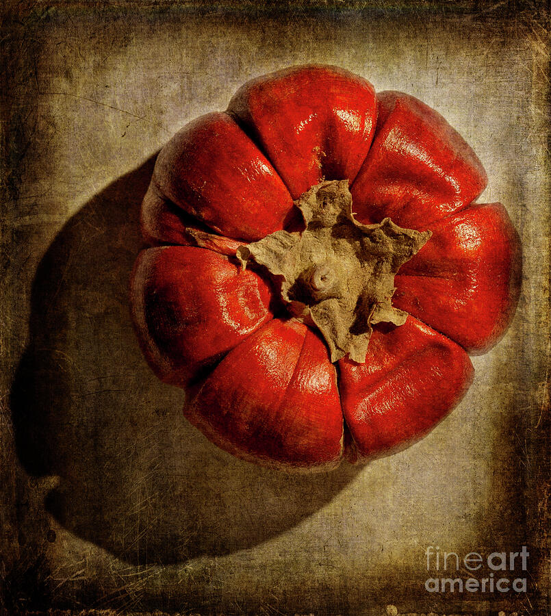 Vintage Photograph - Red Pepper by Mark Laurie