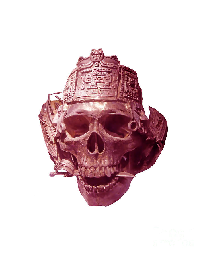 Red Pirate Skull Transparent Background Photograph by D Hackett