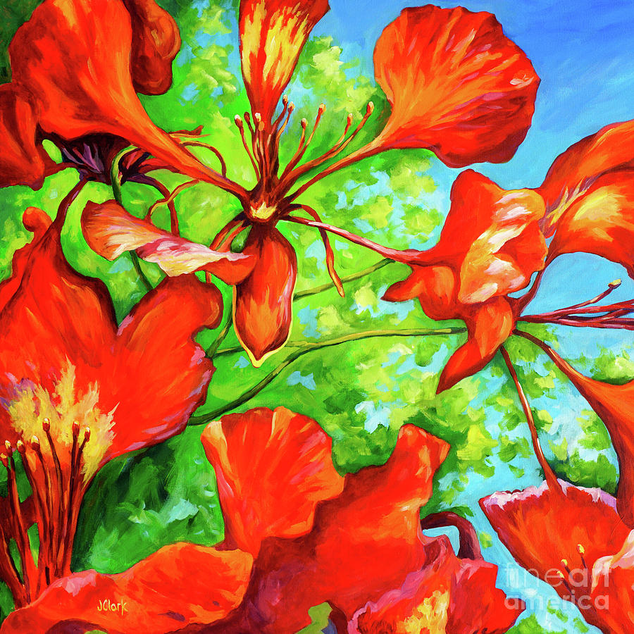 Red Poinciana Bracts Square Painting