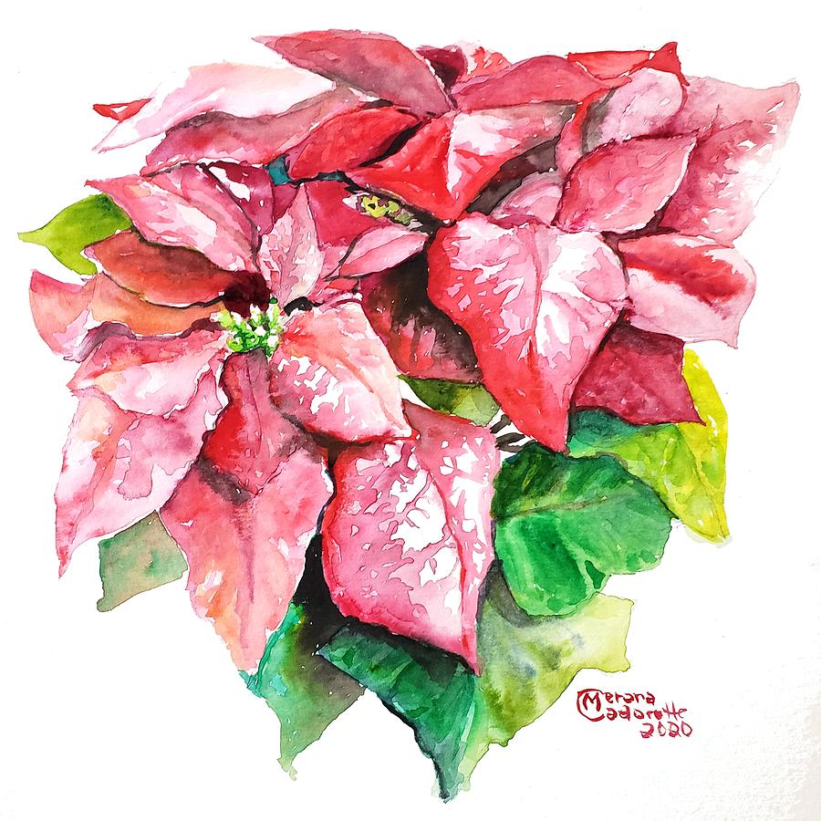 Red Poinsettia Painting by Merana Cadorette