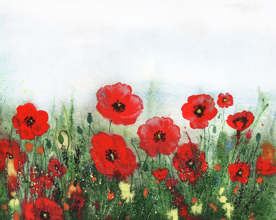 Red Poppies And Wildflowers Field Watercolor Painting