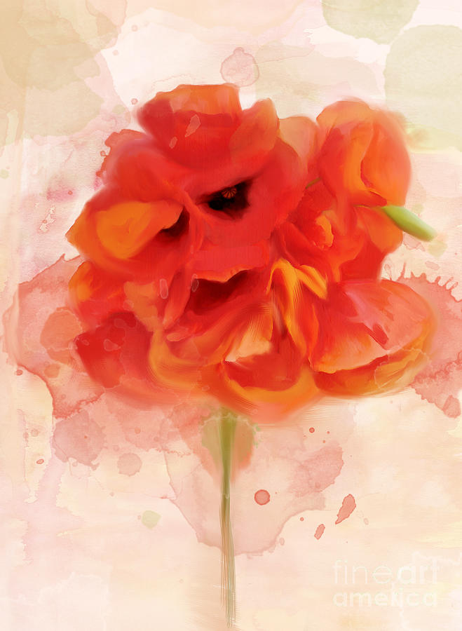Red Poppies On A Vintage Background Digital Art