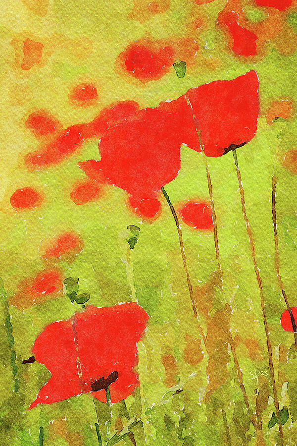 Red Poppies Watercolor Flowers in a Field  Mixed Media by Shelli Fitzpatrick
