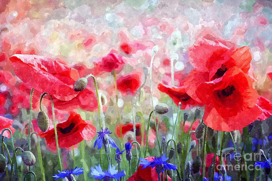 Red Poppies Watercolor Remembrance  Mixed Media by Sandi OReilly