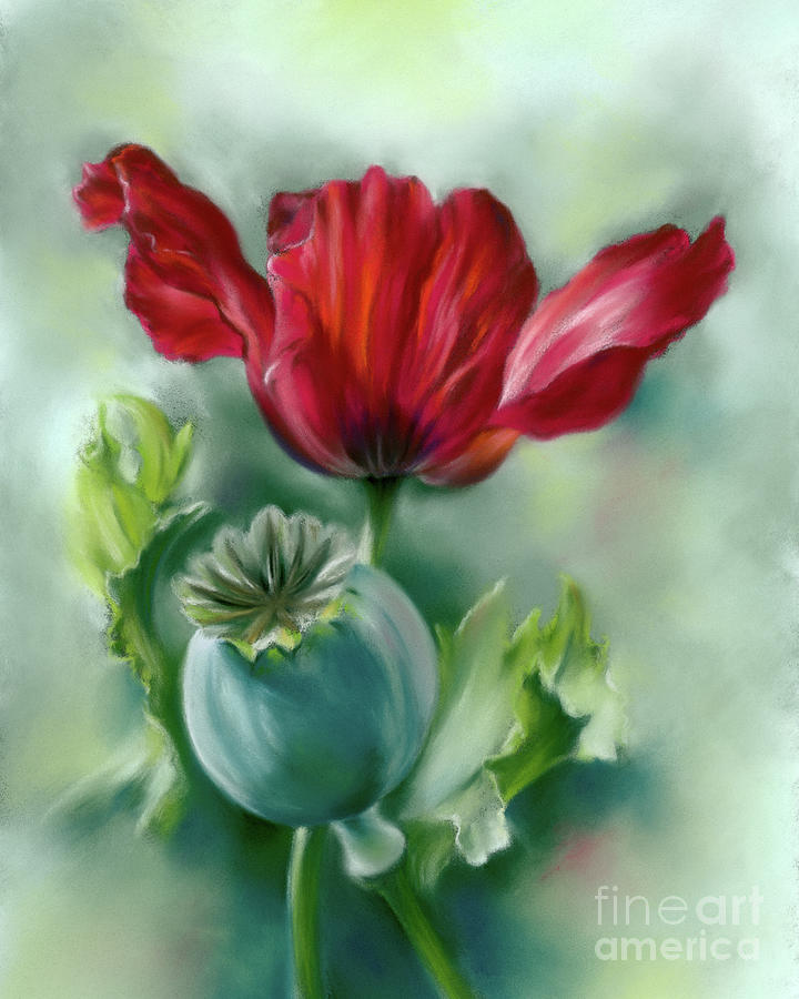 Red Poppy and Seed Pod Painting by MM Anderson