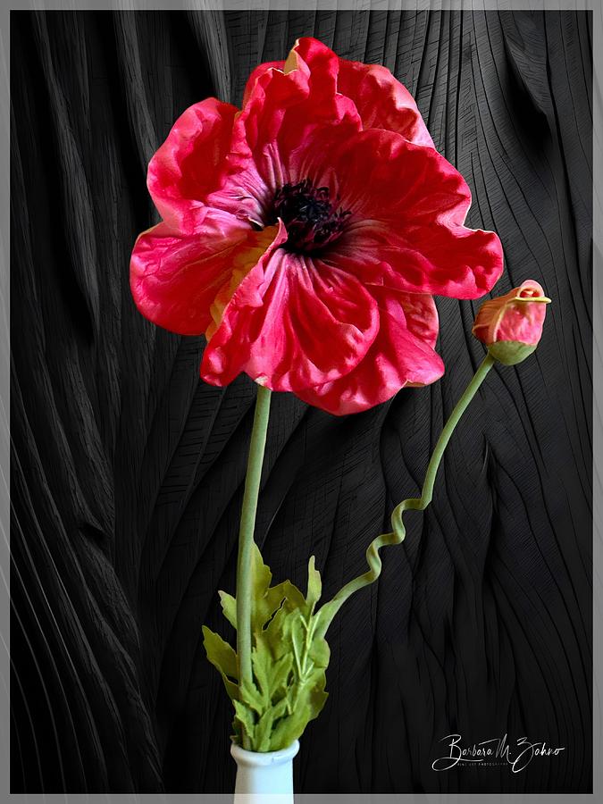Red Poppy on Black Photograph by Barbara Zahno