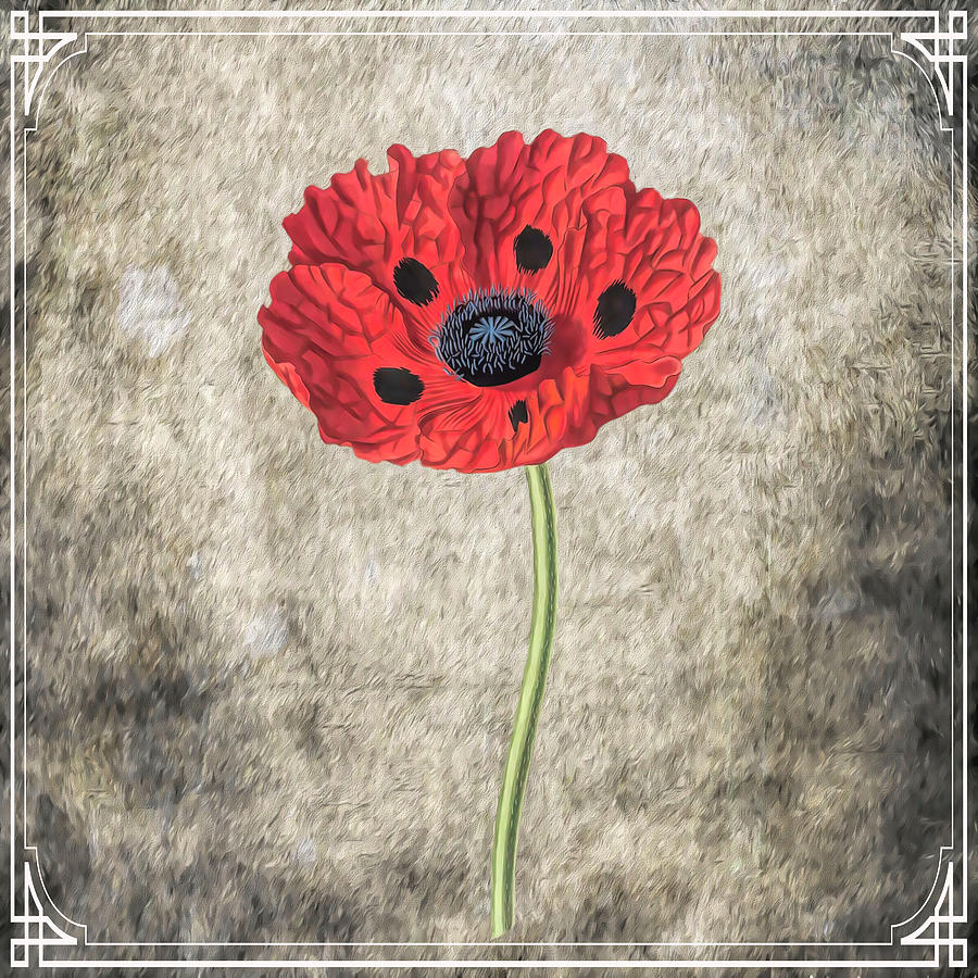 Red Poppy Square Mixed Media by Judy Vincent