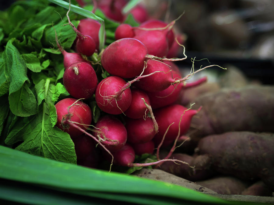 Red Radishes  Photograph by Luis Vasconcelos
