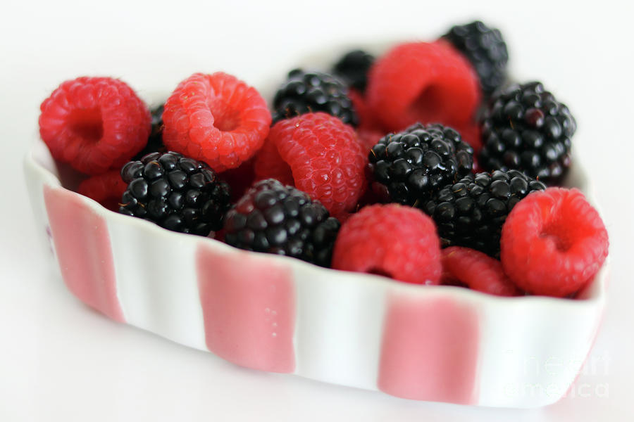 Red Raspberries and Blackberries in a Pink and White Bowl with White Background 7298 Photograph by Jack Schultz