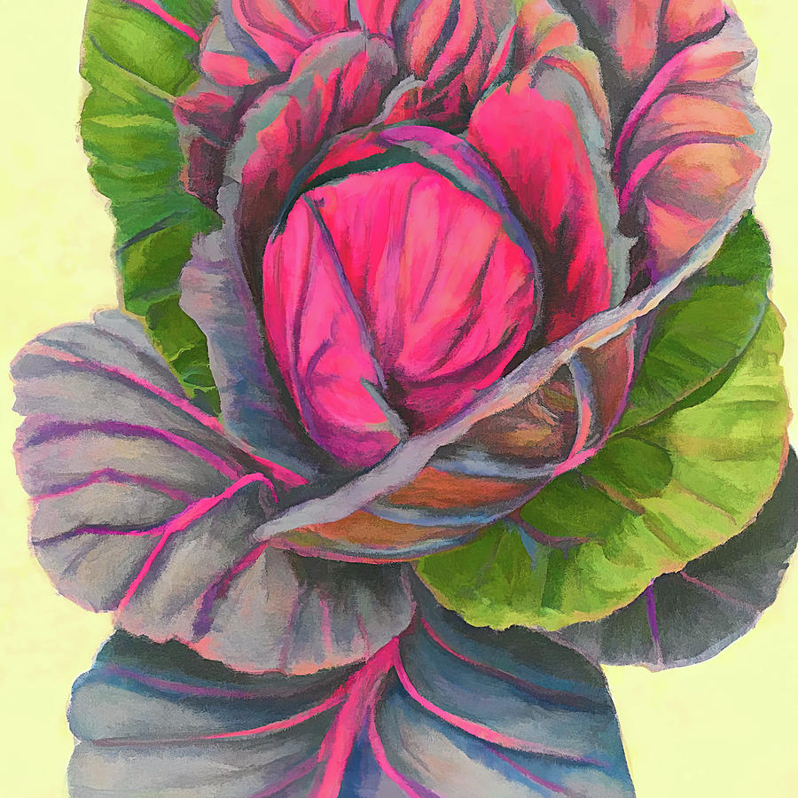 Red Red Cabbage  Digital Art by Cathy Anderson