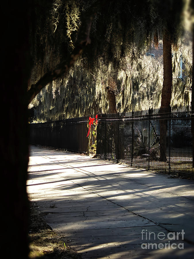 Red Ribbon and Garland Entrance Photograph by Theresa Fairchild