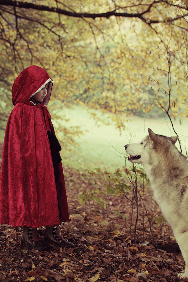 Red riding hood face to face with big bad wolf Photograph by Susan.k.