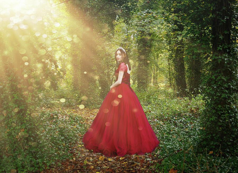 Nature Photograph - Red Riding Hood Forest Prom Princess by Marilyn MacCrakin