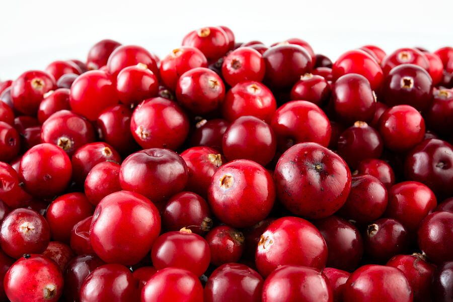 Red ripe cranberries Photograph by Tim UR