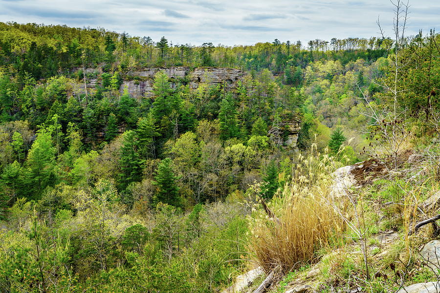 Red River Gorge Geological Area Photograph by Alexey Stiop