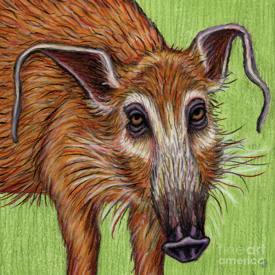 Red River Hog  Painting by Amy E Fraser