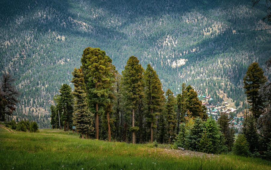 Red River Valley View Photograph by Linda Unger - Fine Art America