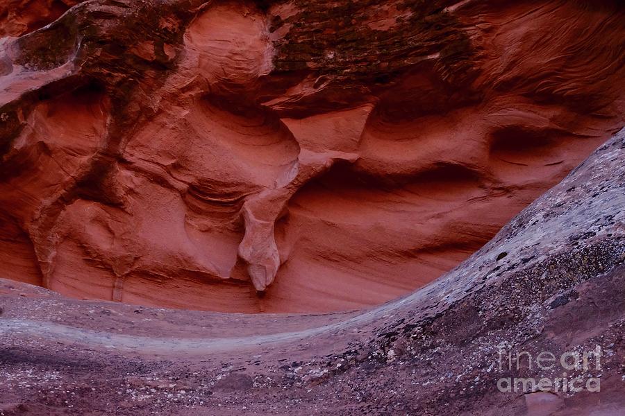 Red Rock Abstract Photograph by Randy Pollard