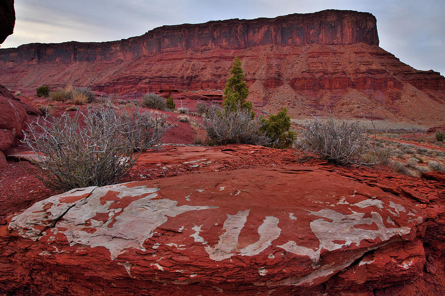 Red Rock Artwork Photograph by Ray Mathis