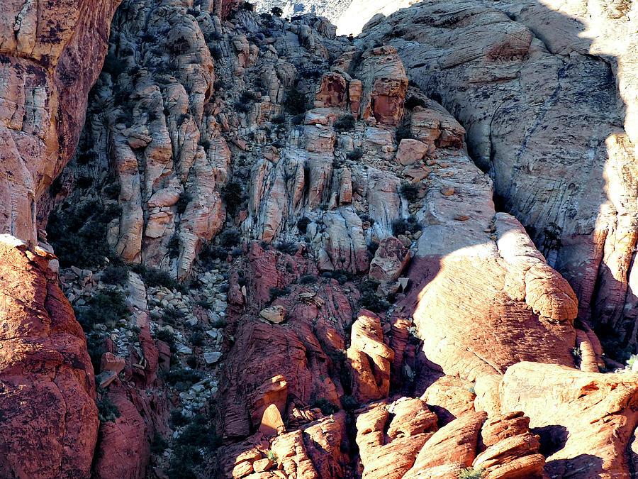 Red Rock Canyon 10 Photograph