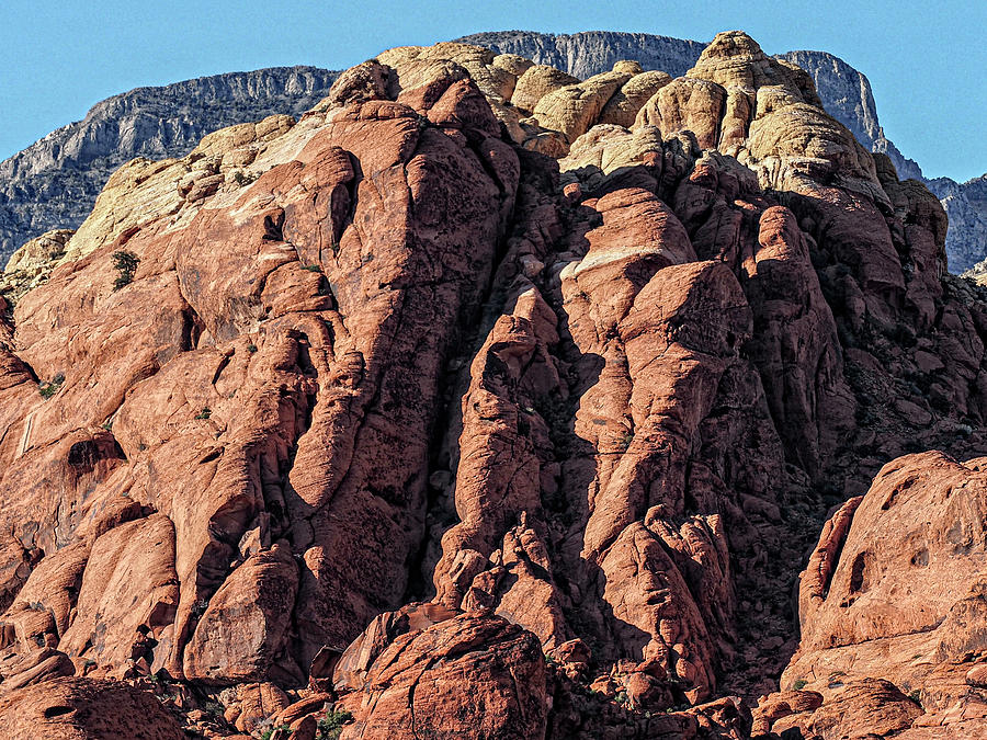 Red Rock Canyon 4 Photograph