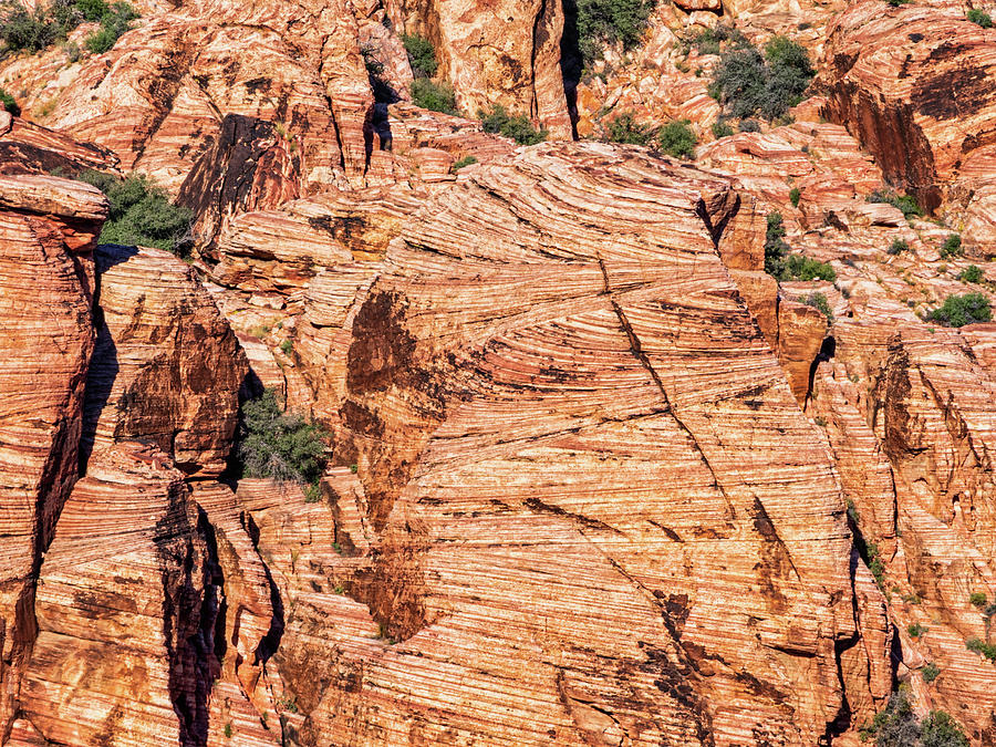 Red Rock Canyon Abstract I Photograph by Marianne Campolongo
