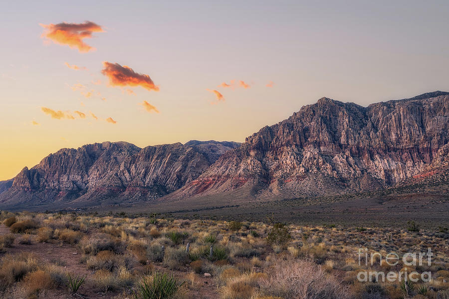 Sunset Photograph - Red Rock Canyon At Dawn  by Michael Ver Sprill