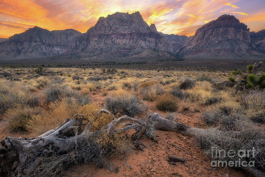 Red Rock Canyon Conservation Area Sunset  Photograph by Michael Ver Sprill