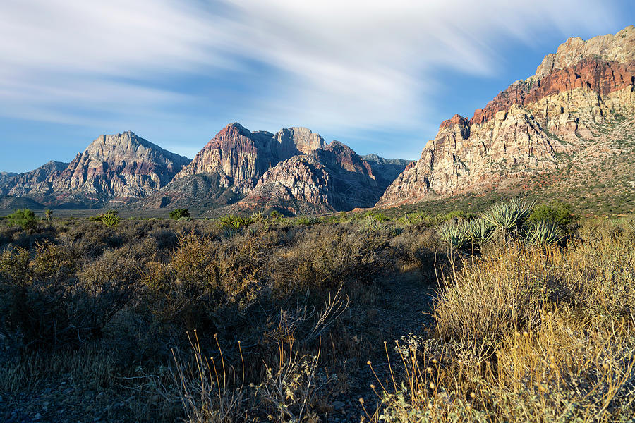Red Rock Canyon II Photograph by Ricky Barnard