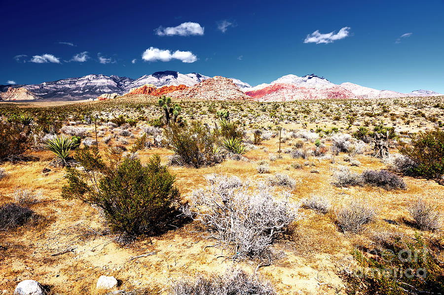 Red Rock Canyon Landscape in Nevada Photograph by John Rizzuto