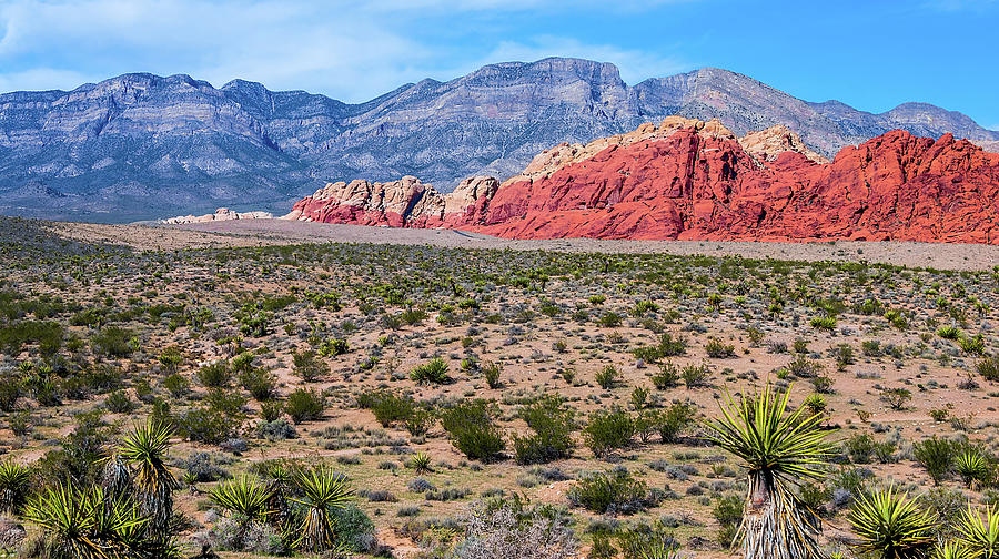 Red Rock Canyon Mountains Photograph by Anthony Sacco