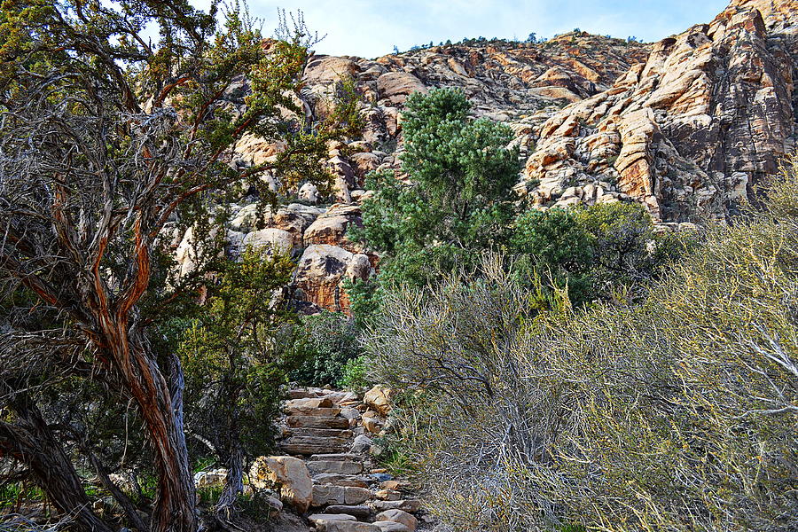 Red Rock Canyon - Stairwell To The Gorge Photograph by Glenn McCarthy Art and Photography