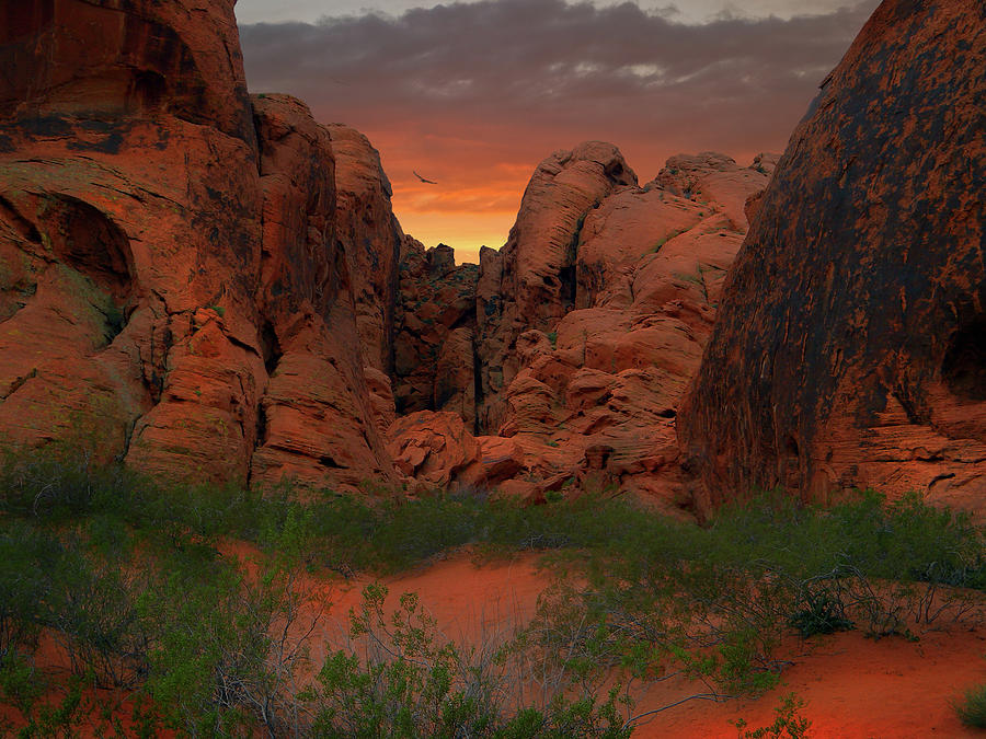 Red Rock Canyon Sunset Photograph by Frank Wilsons