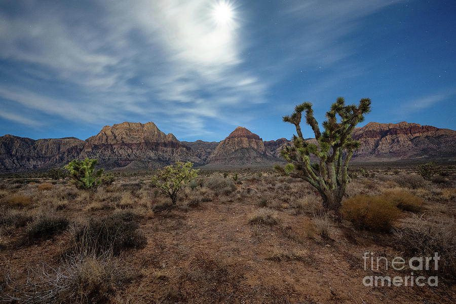 Las Vegas Photograph - Red Rock Canyon Under Moon Light  by Michael Ver Sprill