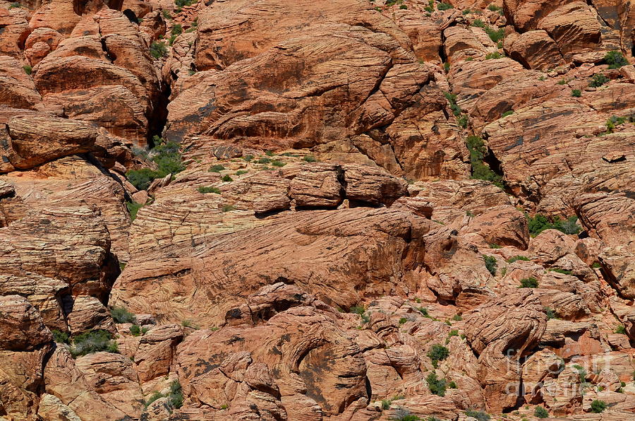 Red Rock Canyon Wall Photograph by Mary Deal