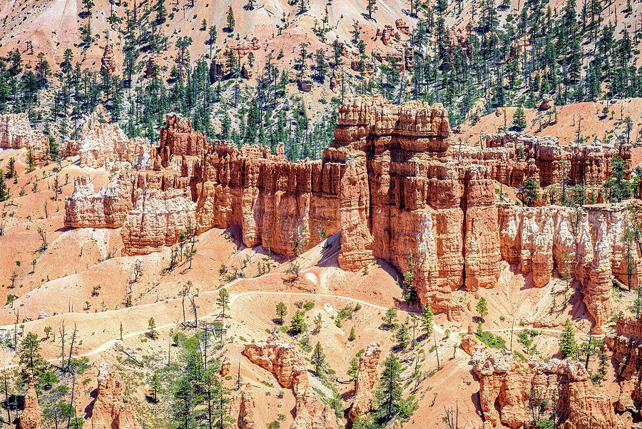 Bryce Canyon National Park Photograph - Red Rock Country by Marla Brown