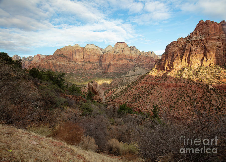 Zion National Park Photograph - Red Rock Dawn by Idaho Scenic Images Linda Lantzy