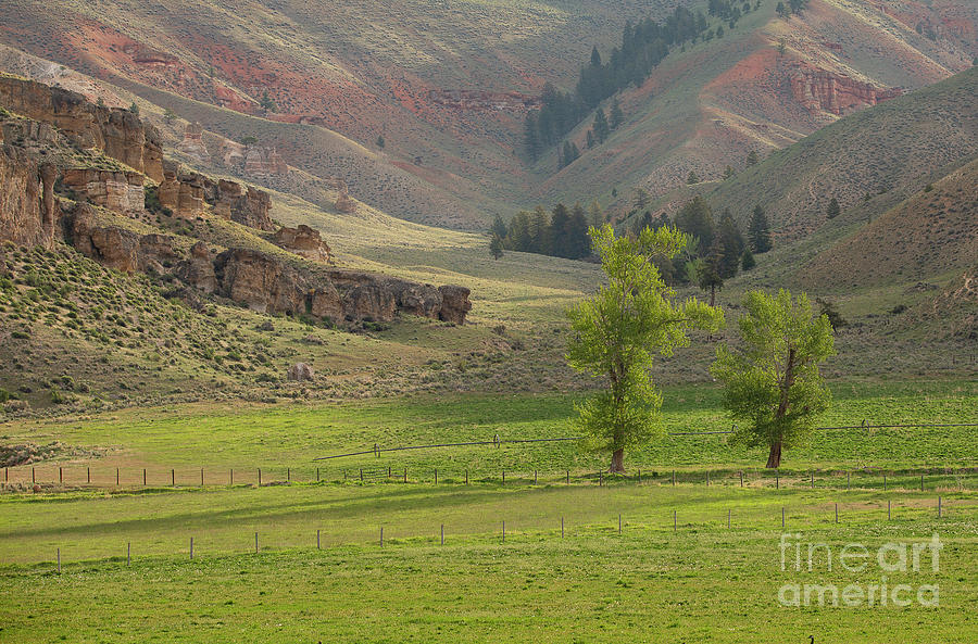 Red Rock Green Pasture Photograph