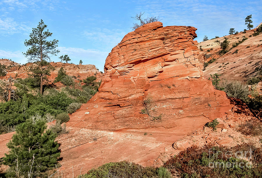 Red Rock In Zion Photograph