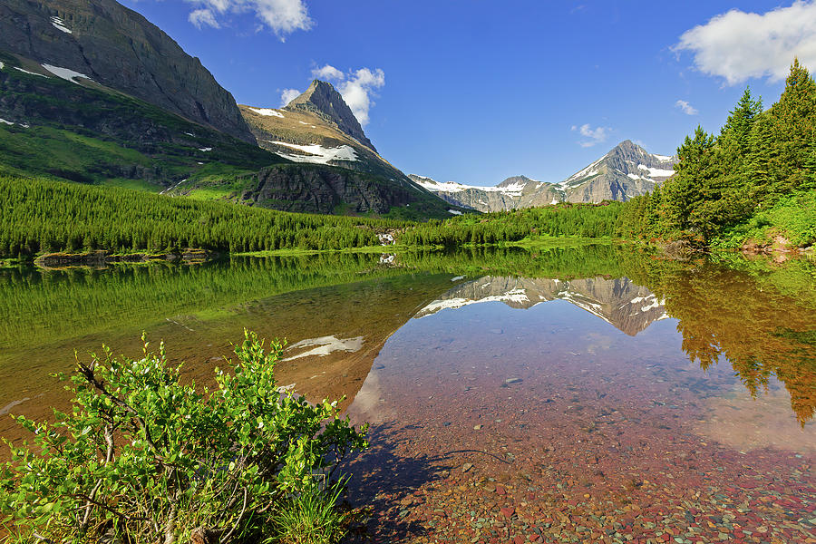 Red Rock Lake at Glacier National Park Photograph by Jack Bell