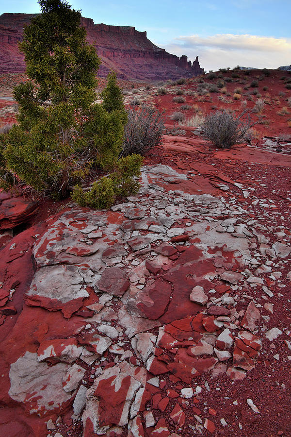 Red Rock Mosaic Photograph by Ray Mathis