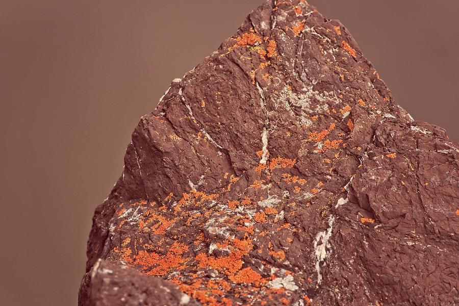 Red Rock, Oragge Moss Digital Art by David Desautel