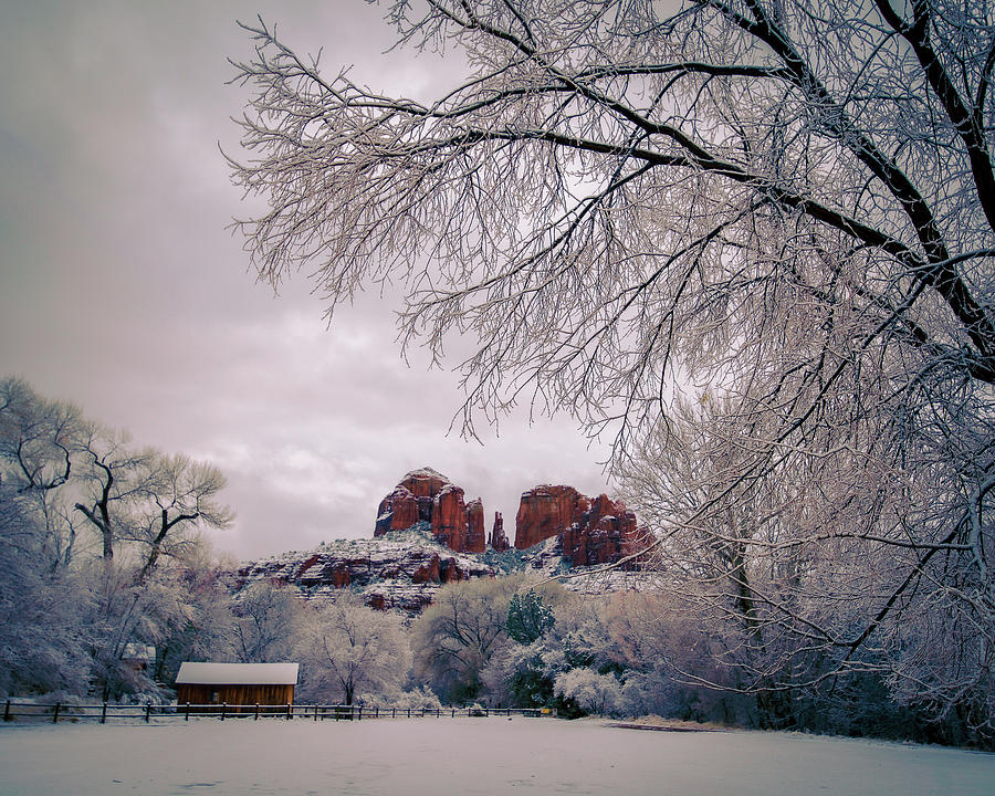 Red Rock Park Snow Storm Photograph by Heber Lopez