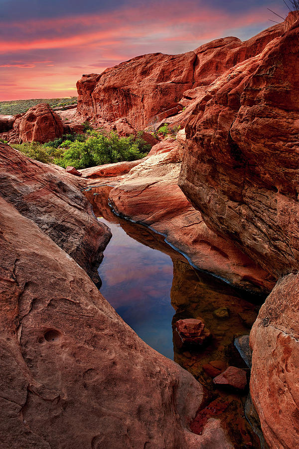 Red Rock Reflection - not signed Photograph by Renee Sullivan