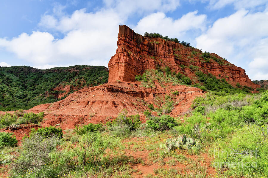 Red Rock Sandstone at Caprock Canyon Photograph by Bee Creek ...