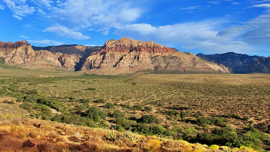 Red Rock Spring Photograph by Tim Kieper - Pixels