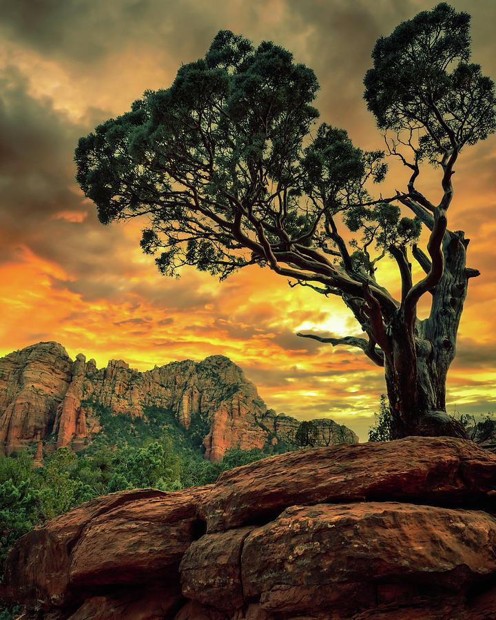 Red Rock Sunset Silhouette Photograph by Heber Lopez